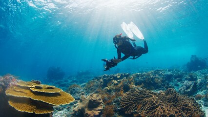 Underwater photographer takes pictures of the healthy coral reef. Freediver with camera swims over...