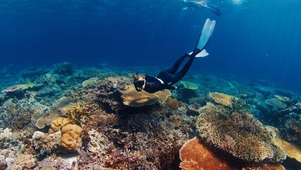 Freediving on the abundant healthy reef. Woman freediver glides underwater and watches the healthy...
