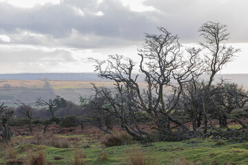 Looking out over the Exmoor National Park