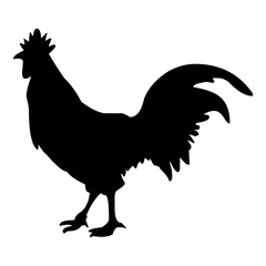 Rooster