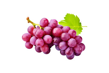 Bunch of purple grapes isolated on transparent and white background