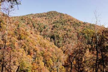 Beautiful autumn mountain landscape with mountain river and waterfalls from a bird's eye view on sunny day. Autumn in the forest. Great Smokey Mountain, SC, USA