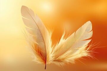 An abstract background image designed for creative content, offering a close-up view of feathers, providing a visually intriguing and adaptable canvas. Photorealistic illustration