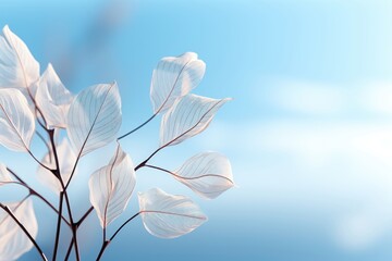 An abstract background image for content creation, featuring translucent leaves set against the sky, providing an ethereal and visually captivating canvas. Photorealistic illustration