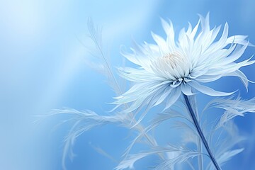 An abstract background image for content creation, featuring a white flower with space for customization, creating an adaptable canvas for various creative projects. Photorealistic illustration