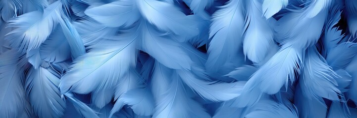 Fototapeta na wymiar An abstract background image in wide format, featuring light blue feathers, offering a canvas for artistic expression with a tranquil and ethereal quality. Photorealistic illustration