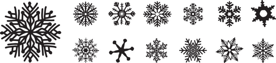 Assorted set of various snowflakes