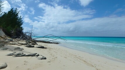 White soft sand and  clear turquoise water of a secluded beach on North Bimini, Bahamas