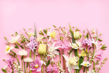 Fototapeta na wymiar Blossoming white and light yellow daffodils, pink hyacinths and spring flowers festive background, bright springtime bouquet floral card, selective focus, shallow DOF
