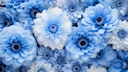 Badkamer foto achterwand 淡い青や白のダリアが敷き詰められた背景 © dont