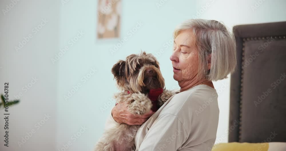 Sticker Senior woman, dog and cuddle in bedroom with love, care and pet friend in wellness in retirement. Elderly person, domestic animal and bonding on bed in carefree together, puppy kiss and touch in home