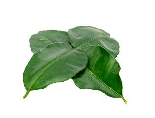Green leaves pattern,leaf kaffir lime