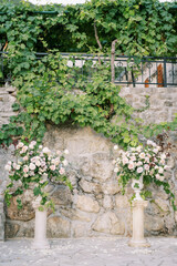 Wedding semi-arch of bouquets of flowers on pedestals stands against a stone wall in the garden near a weaving vine