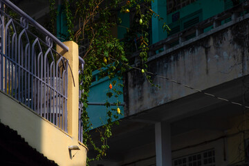 Afternoon sunshine on the street