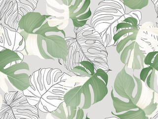 Foliage seamless pattern, Monstera Albo leaves on light grey - 675609530