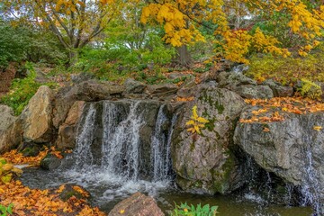 Waterfall Over Autumn Leaves and Rocks