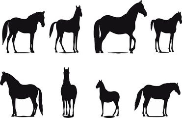 Animal horse in silhouette style. Vector, sticker, solid black silhouette image on white background,