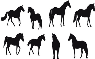 Animal horse in silhouette style. Vector, sticker, solid black silhouette image on white background, - obrazy, fototapety, plakaty