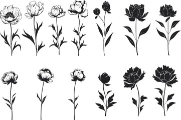 Flowers in silhouette style. Leaf vector, sticker, solid black silhouette image on white background,