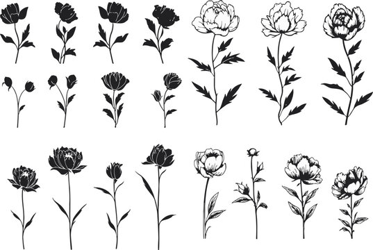 Flowers in silhouette style. Leaf vector, sticker, solid black silhouette image on white background,
