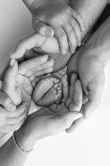 Legs, toes, feet and heels of a newborn. With the hands of parents, father, mother gently holds the child's legs. Macro photography, close-up. Black and white photo. 