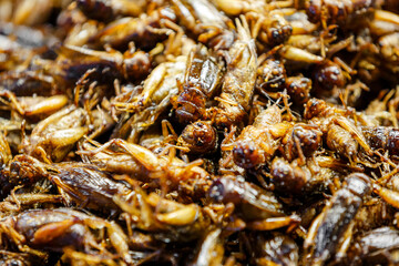 Deep fried crickets background in thai street food market