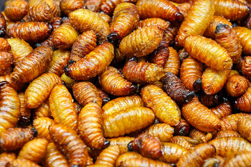 fried Red palm weevil worm in thai street food market
