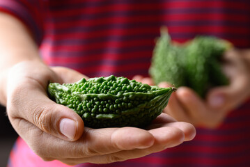 Bitter gourd or bitter melon, Asian food ingredients and herbal medicine