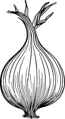 Food Ingredients Onion Vintage Outline Icon In Hand-drawn Style
