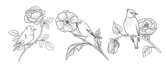 vector drawing birds at tree branch with flowers and leaves, hand drawn illustration for cover design or print