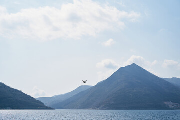 Seagull flies over the sea against the backdrop of a mountain range in a light haze