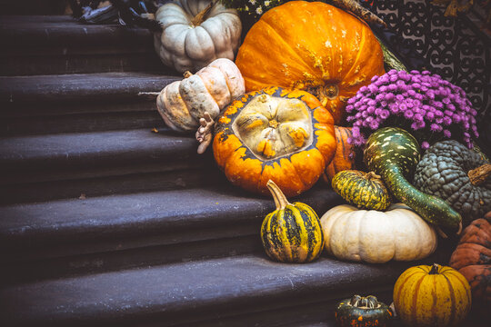 Fall Still Life with pumpkins on a front of the house against colorful background in New York City. High quality photo