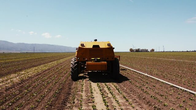 Slow Motion wide drone low angle of artichoke farm field and weeding machine centered moving towards camera.
