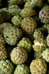 Srikaya is a plant belonging to the genus Annona which originates from tropical areas. Annona squamose. Sugar apple fruits. Blurred image of fruits. 