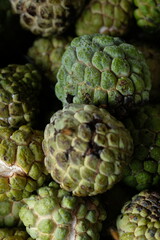 Srikaya is a plant belonging to the genus Annona which originates from tropical areas. Annona squamose. Sugar apple fruits.