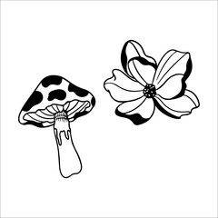 vector illustration of mushrooms and flowers