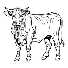 Hand-drawn, flat, vector cow outline design