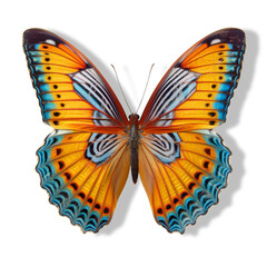 Colorful Butterfly With Vibrant Orange and Blue Wings Against a Clean White transparent background png