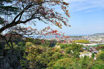 彦根城から見る彦根市の風景
