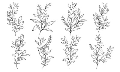 Set of hand drawn flowers and leaves