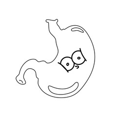 anatomy of the human body