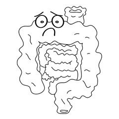 anatomy of the human body