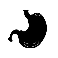 anatomy of the human body Silhouette