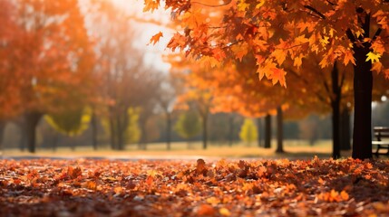 Autumn park with vibrant orange leaves