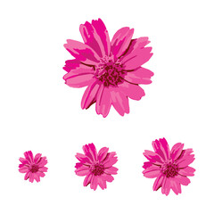 pink flower on transparent background, floral watercolor painting vector in multiple size. 