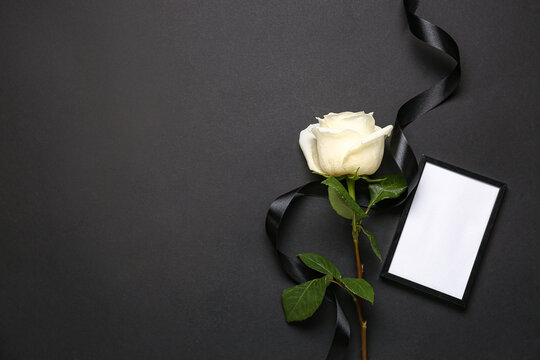 White rose with ribbon and photo frame on black background