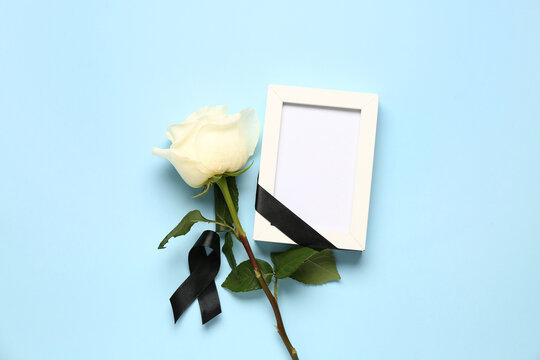 White rose with black ribbon and photo frame on blue background