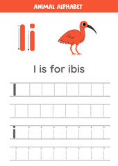 Tracing alphabet letters for kids. Animal alphabet. I is for ibis.