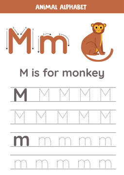 Tracing alphabet letters for kids. Animal alphabet. M is for monkey.