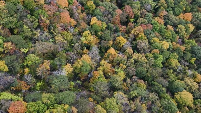 Aerial Drone Landscape Scenery Footage - Foliage, Cloud, Skies, Island, Mountain, Hike, Commercial, Boat, Trees, River - Upstate New York